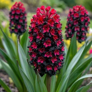 Гиацинт Джем Стоун купить по цене от 2099р. в интернет-магазине «Посадика» с доставкой почтой в в Чудовое и по всей России – [изображение №1].