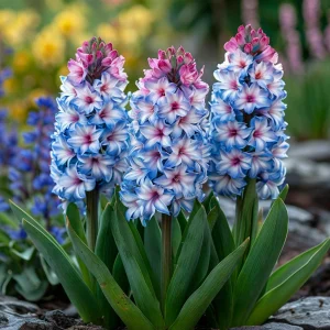 Гиацинт Пинк Мари купить по цене от 2099р. в интернет-магазине «Посадика» с доставкой почтой в в Чудовое и по всей России – [изображение №1].