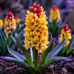 Гиацинт Миднайт Мистери купить по цене от 2099р. в интернет-магазине «Посадика» с доставкой почтой в в Чудовое и по всей России – [изображение №1].