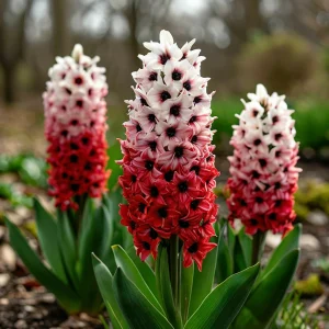 Гиацинт Скай Гарден купить по цене от 2099р. в интернет-магазине «Посадика» с доставкой почтой в в Чудовое и по всей России – [изображение №1].